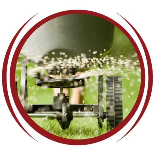 A person is spreading fertilizer on a lush green lawn