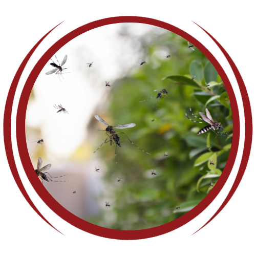 A group of mosquitoes are flying around a tree.