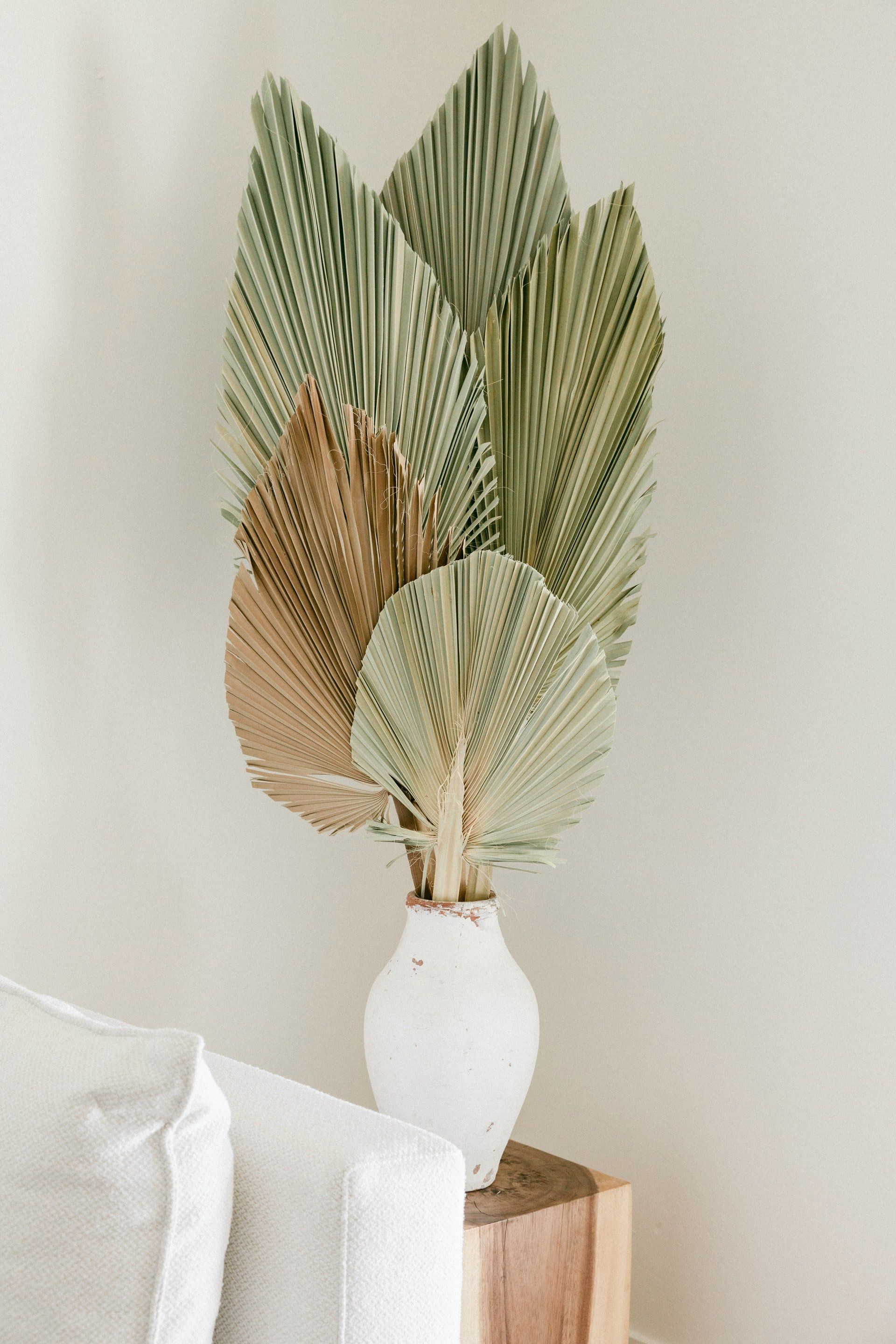 Dried palm leaves in a white vase on a wood block, near a white sofa.
