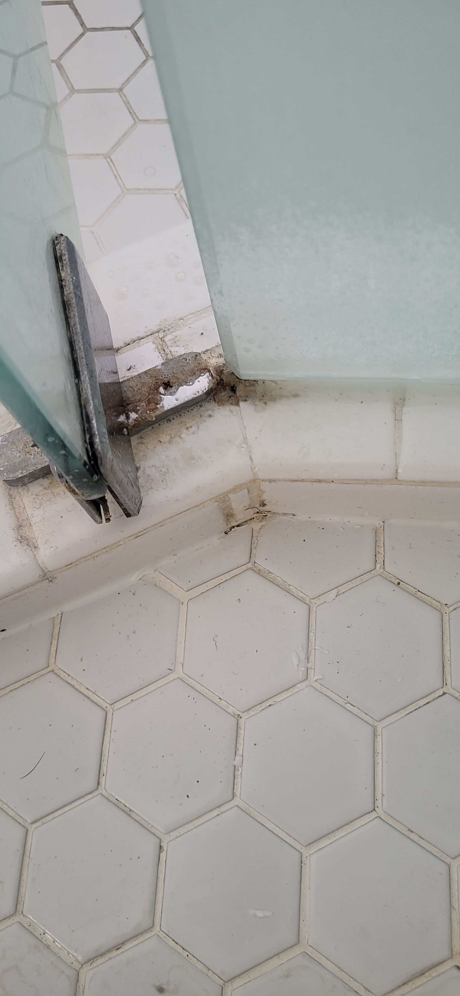 Professional cleaner meticulously scrubbing grout lines with a specialized brush and foamy soap on a sleek gray tiled bathroom floor.