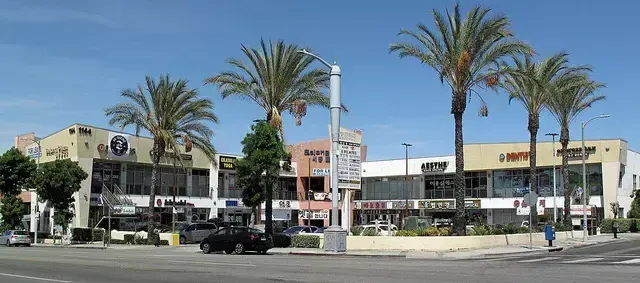 exterior photo of a shopping complex showing the parking and building facade with palm trees and signages