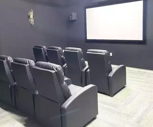 Theater with 8 leather wrapped and cushioned couch and screen