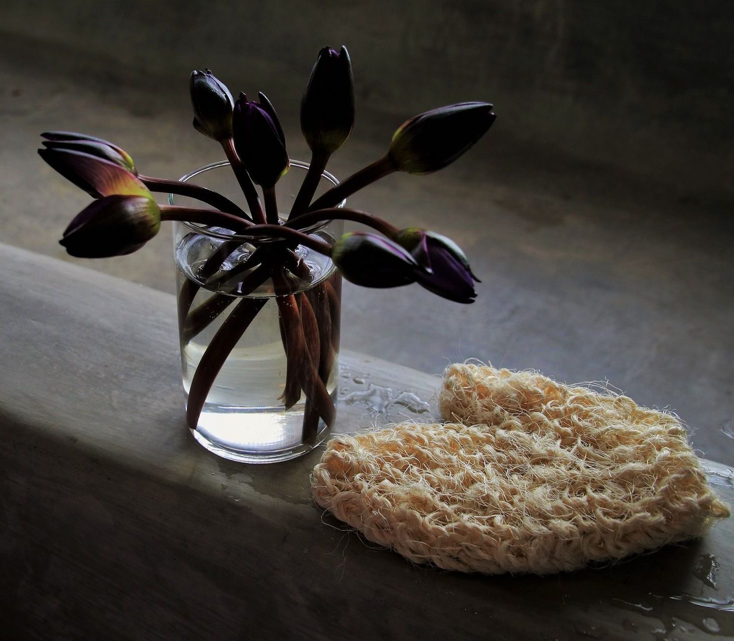 photo of an indoor plant showing several flowers about to bloom in a glass with water and a foam beside it