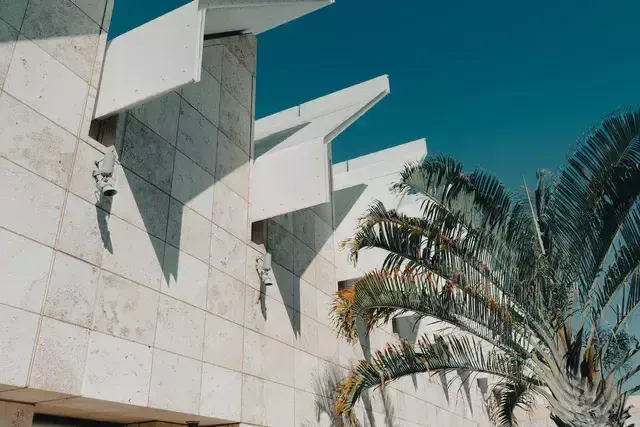 Close-up and worm's-eye view of a building facade with a palm tree partially shown on the right edge