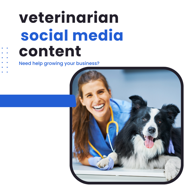 A veterinarian is standing next to a border collie dog