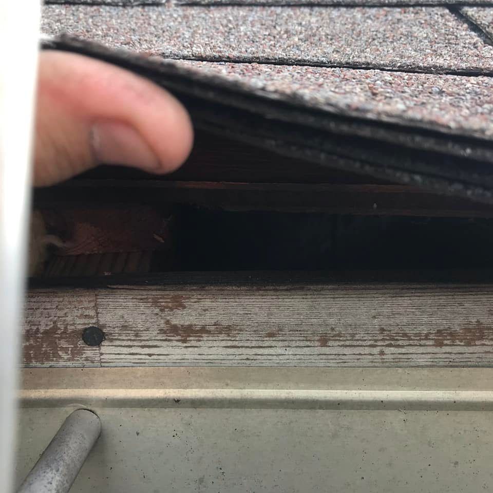 A person is holding a piece of shingles in their hand.