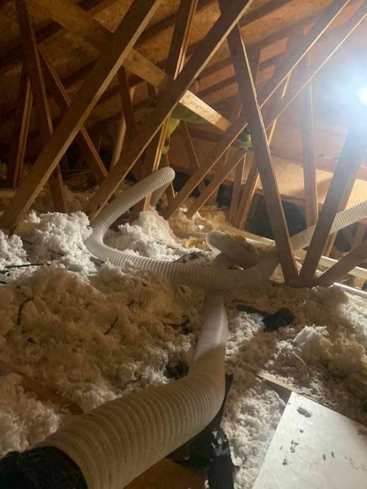 A person is vacuuming the attic of a house.