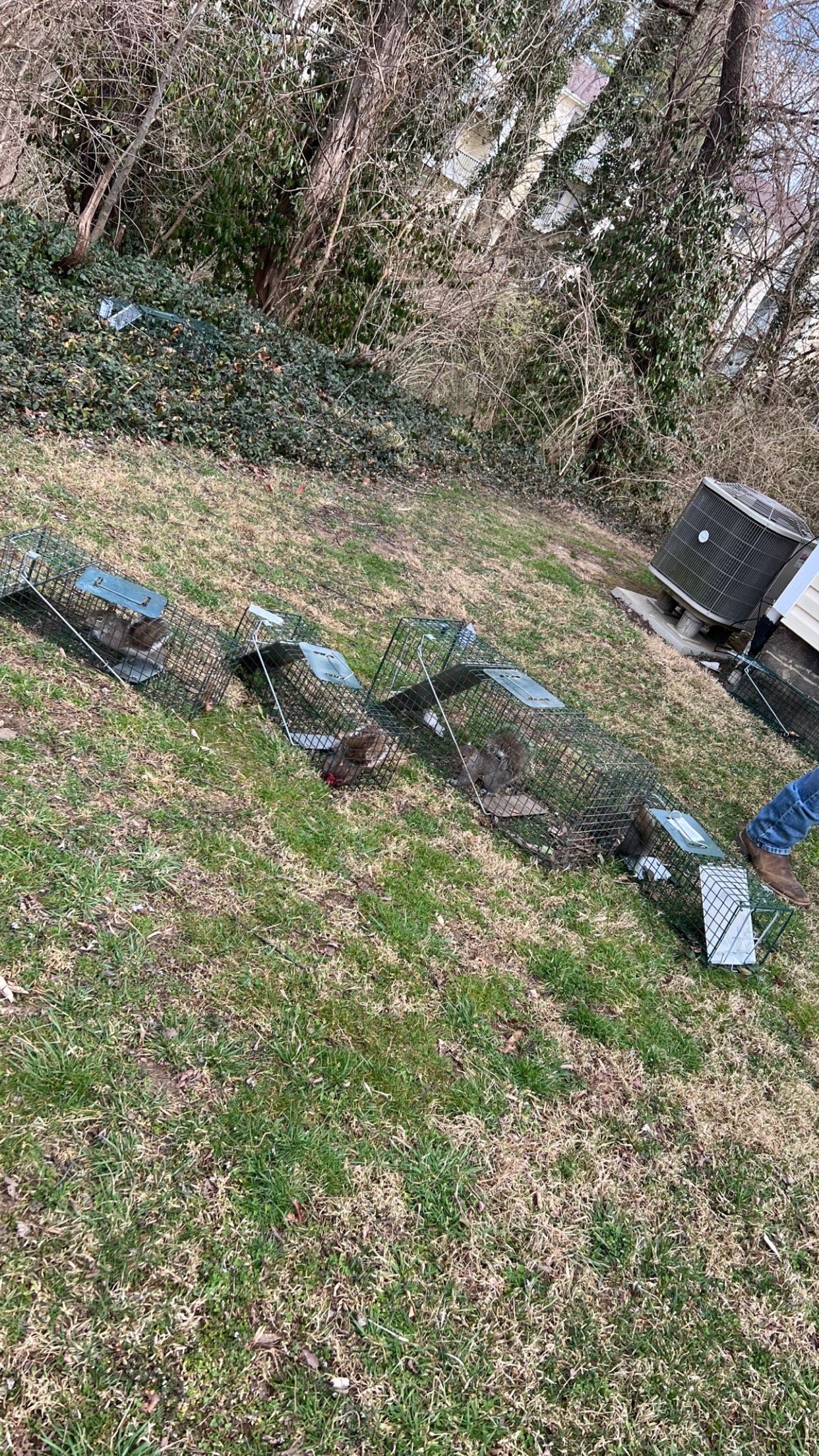 A person is standing in the grass next to a tree.