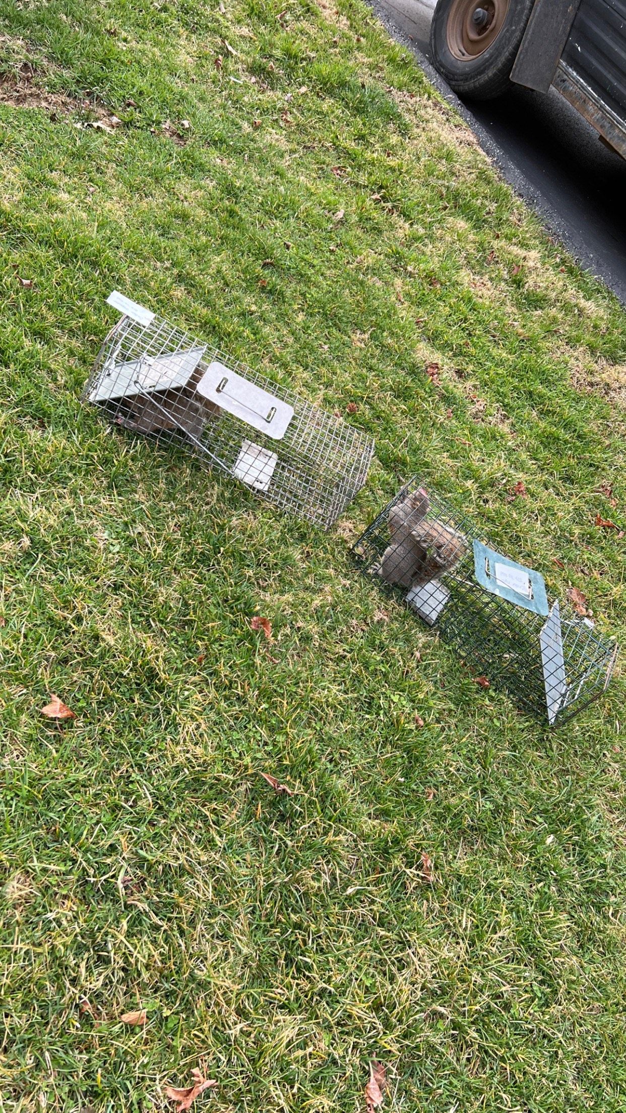 A broken windshield is laying on the grass next to a car.