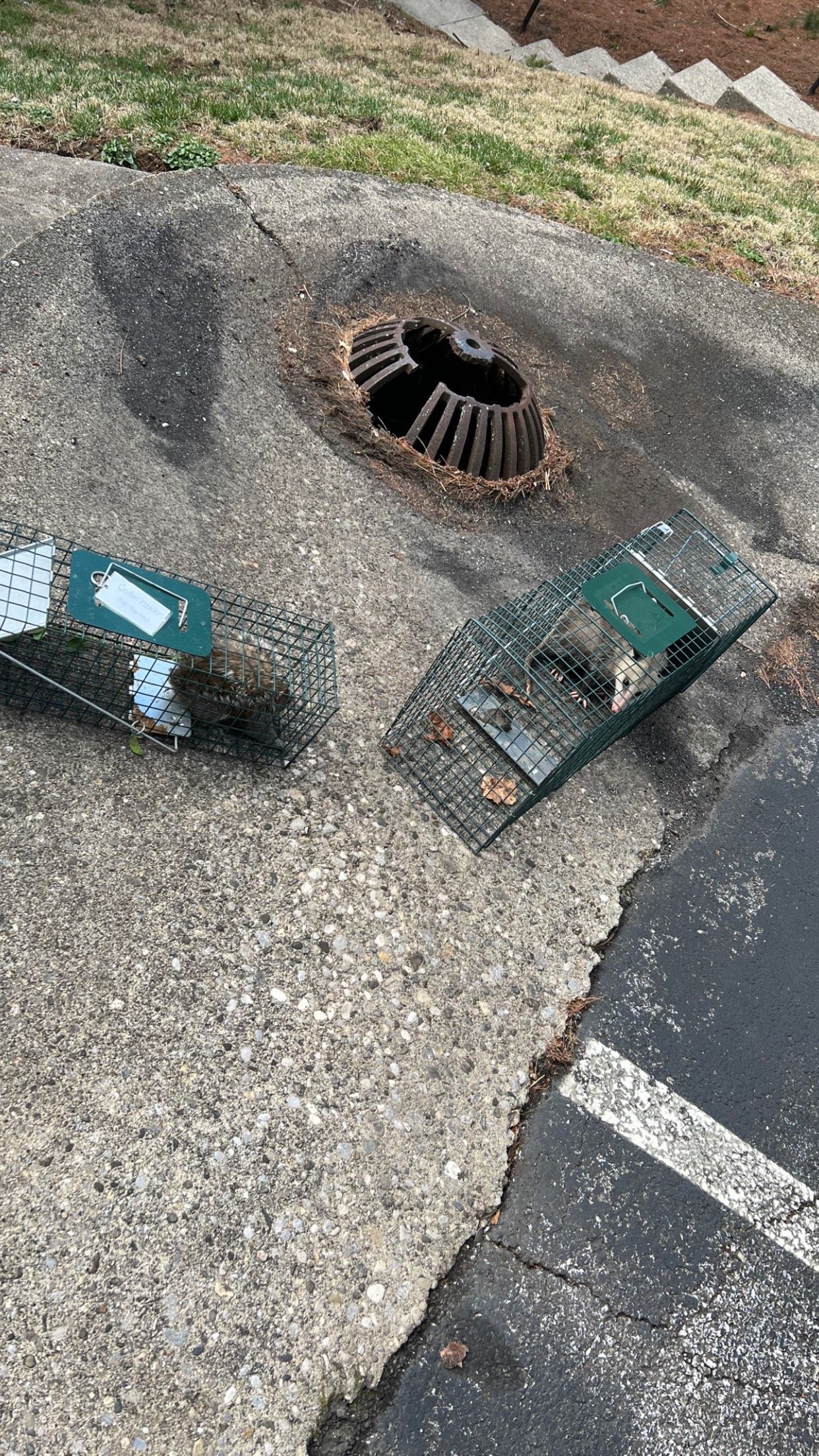 A manhole cover is sitting on the ground next to a trash can.