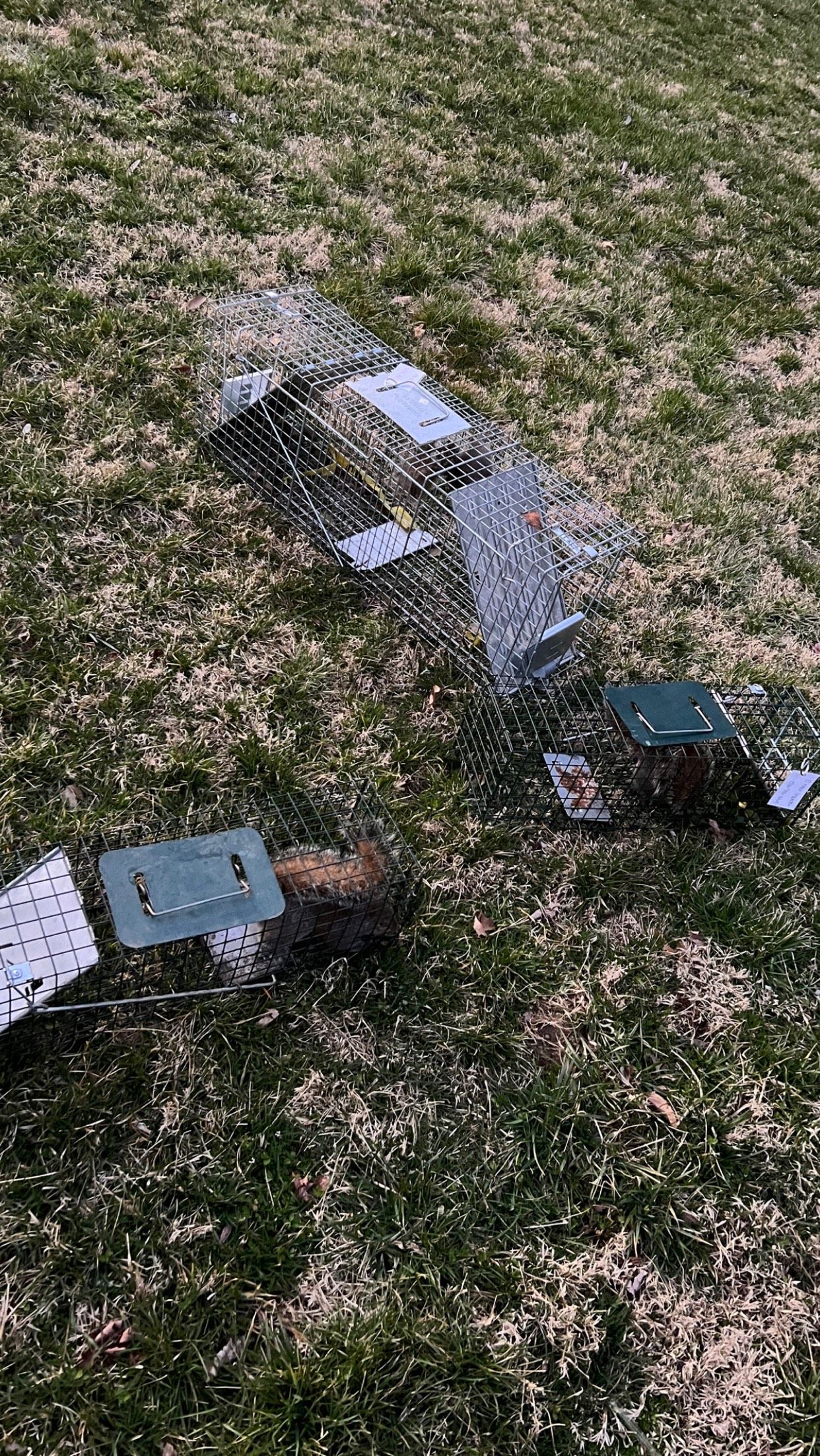 A broken glass bottle is sitting on top of a lush green field.