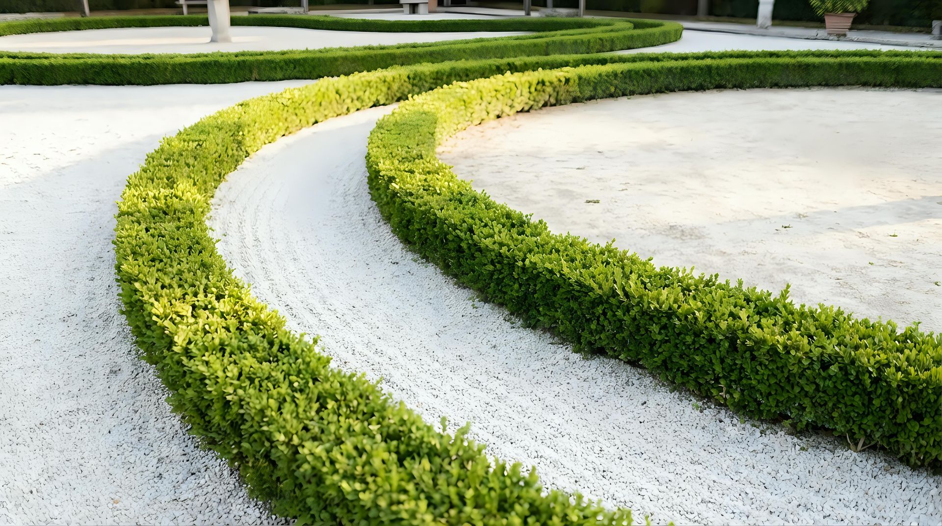 Curved green hedges border pale gravel paths in a landscaped garden