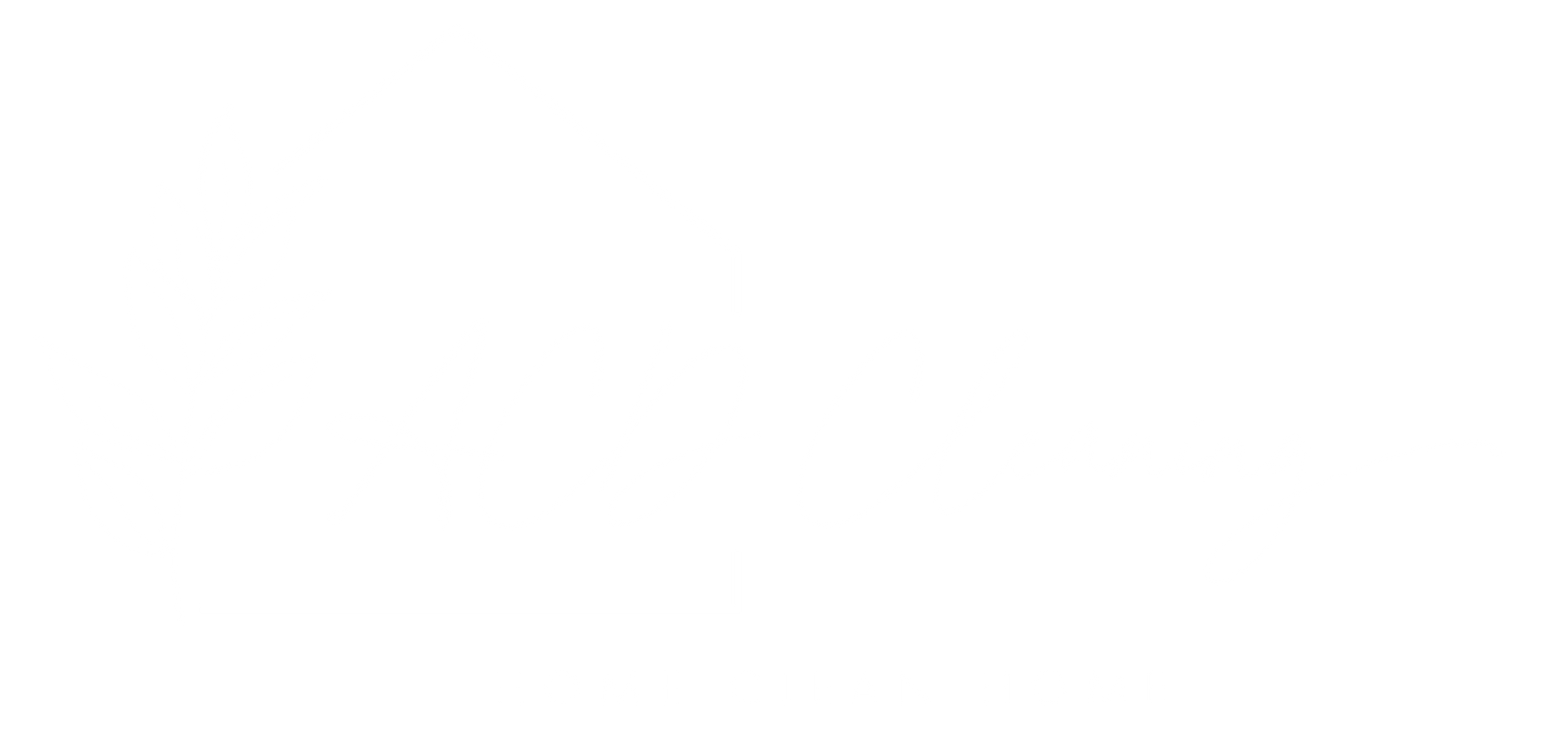 ACD CLEANING LOGO