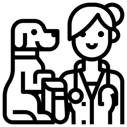 Icona - veterinario con cane