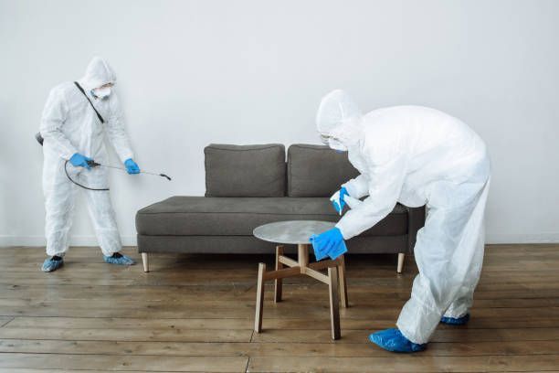 An apartment pest control services team in protective suits disinfecting living room furniture.