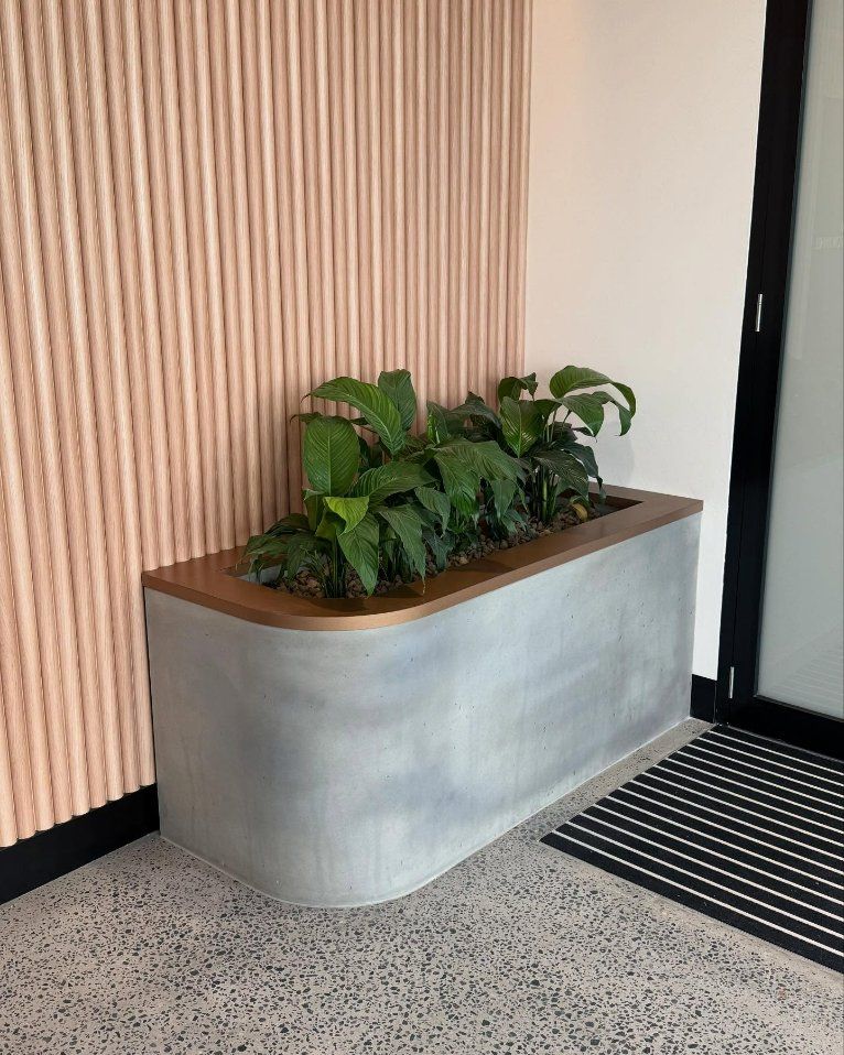 Concrete Planter With Wood Trim And Large Green Plants — Zeal Interiors  in South Grafton, NSW