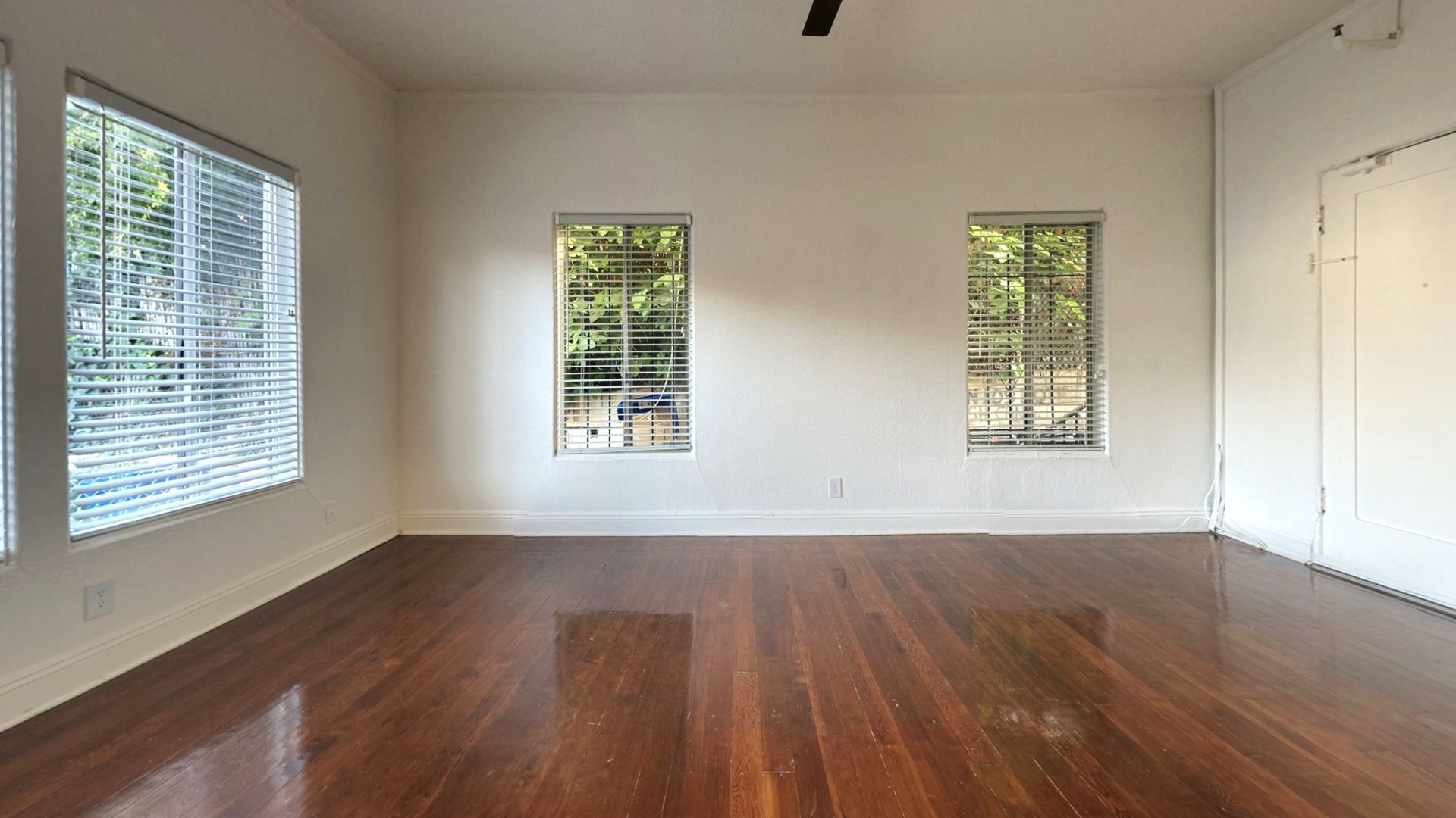 Empty room with hardwood floors, three windows, and white walls.