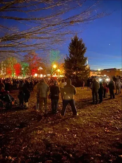 Chimney sweep portland maine-Crowd gathers in a park at dusk to view trees decorated with colorful lights.