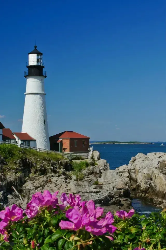 cA white lighthouse stands on rocky shores, surrounded by vibrant pink flowers, under a clear blue sky and calm ocean waters.