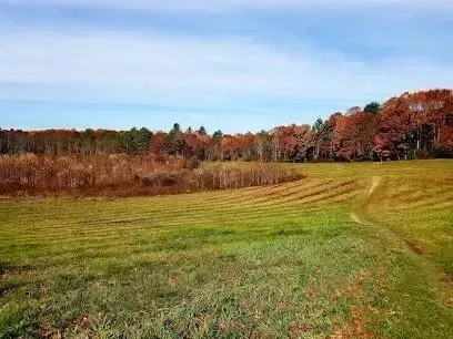 Chimney sweep portland maine - Aerial view of a crowded sandy beach curving along a bright blue ocean with green marshland and trees in the background under a cloudy sky.