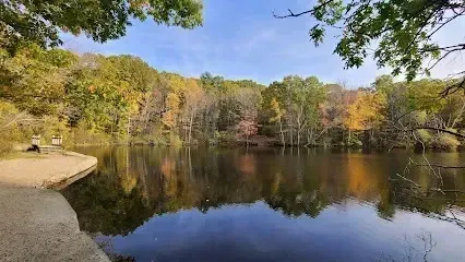 Chimney sweep Portland Maine - Calm lake reflects colorful autumn trees under a blue sky with a sandy shore and park bench.