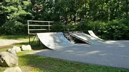 Chimney sweep portland maine - A skatepark with ramps and a railing surrounded by trees and grass.