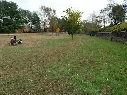 Chimney sweep portland maine - Two people and a dog are in a fenced grassy dog park with trees in the background.