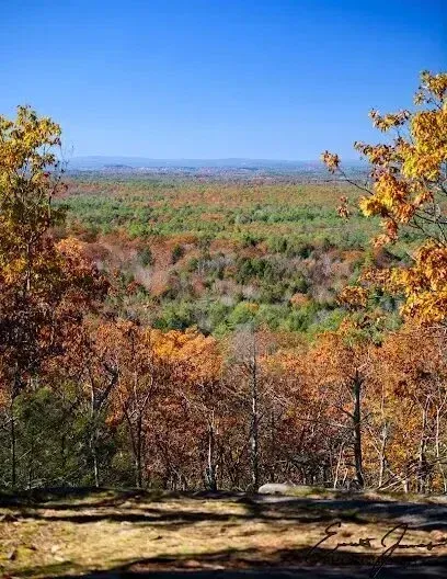 Chimney sweep portland maine-Vista of colorful autumn foliage under a bright blue sky, viewed from a wooded area.