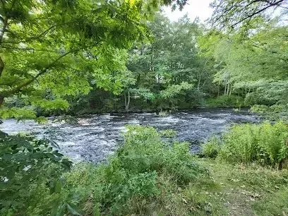 Chimney sweep portland maine - Fast-flowing river surrounded by lush green trees and foliage on a cloudy day.