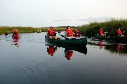 Chimney sweep portland maine - Several canoes with people wearing orange life jackets paddle down a calm river bordered by tall green grass.