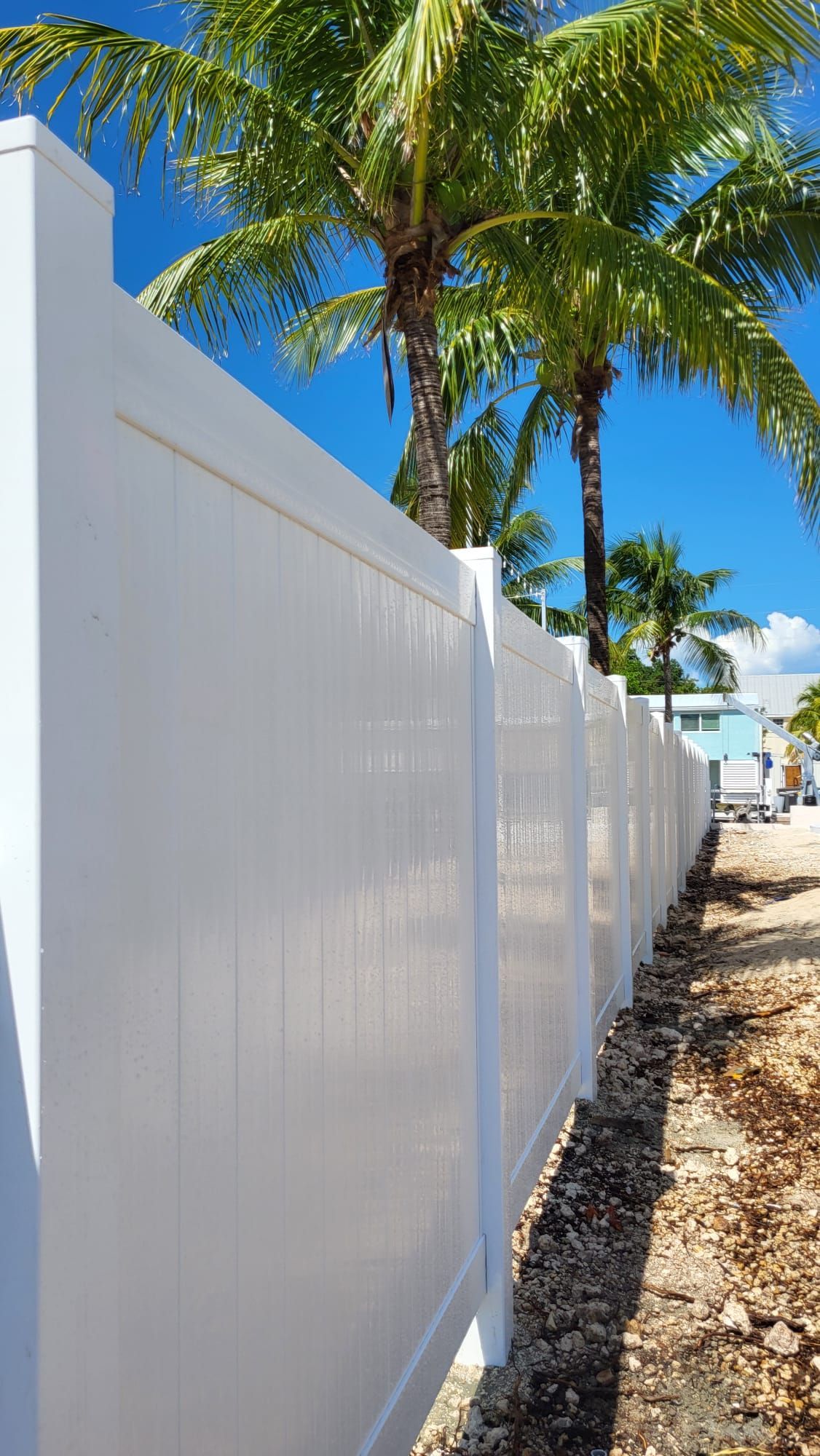White vinyl privacy fence under a blue sky, palm trees in background.