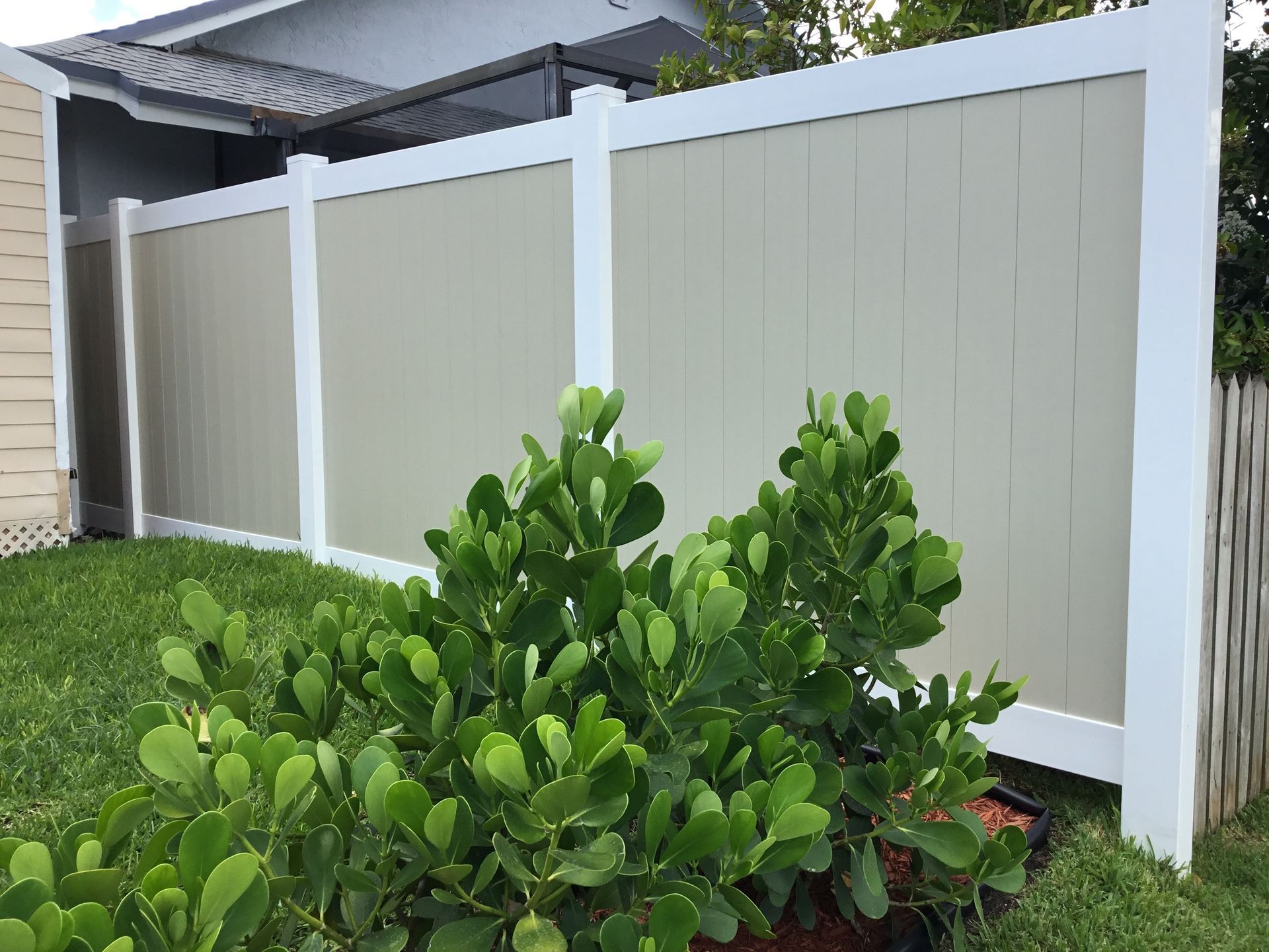 A white fence with a potted plant in front of it.