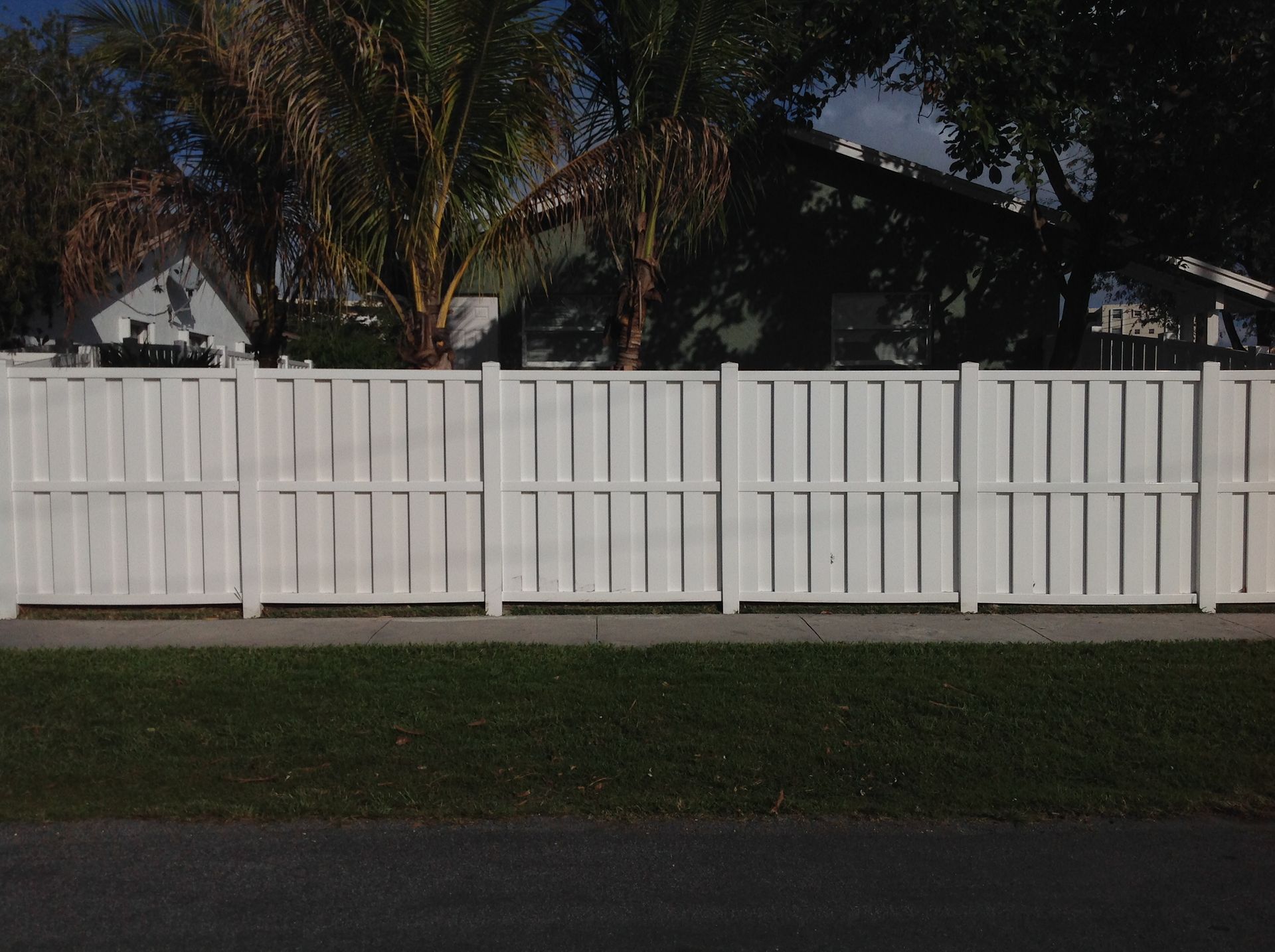 A white fence with a palm tree in the background
