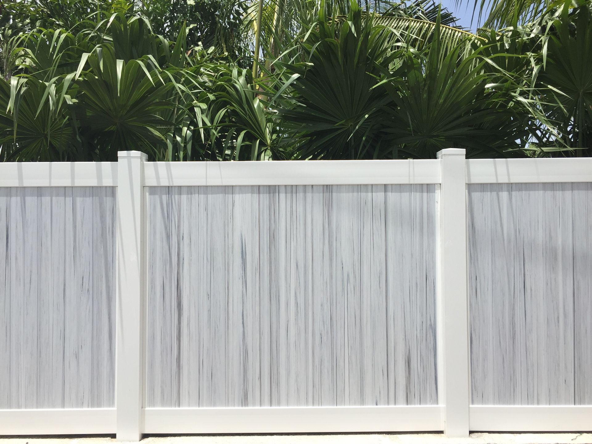 A white fence with palm trees in the background.