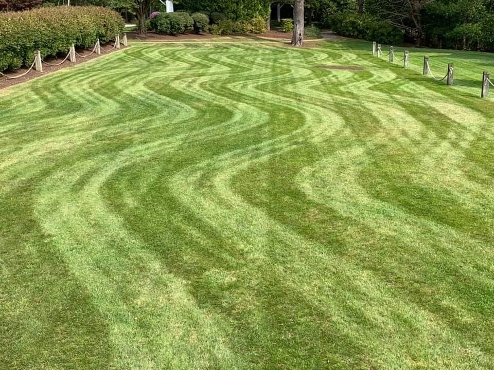 Maintained Grass — Missoula, MT — Starwalker Farms