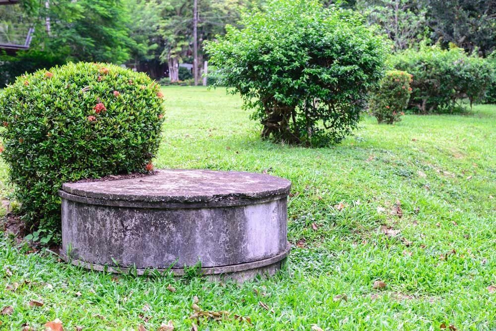 A concrete circular well cover sits in a grassy park next to a rounded shrub with small red flowers.