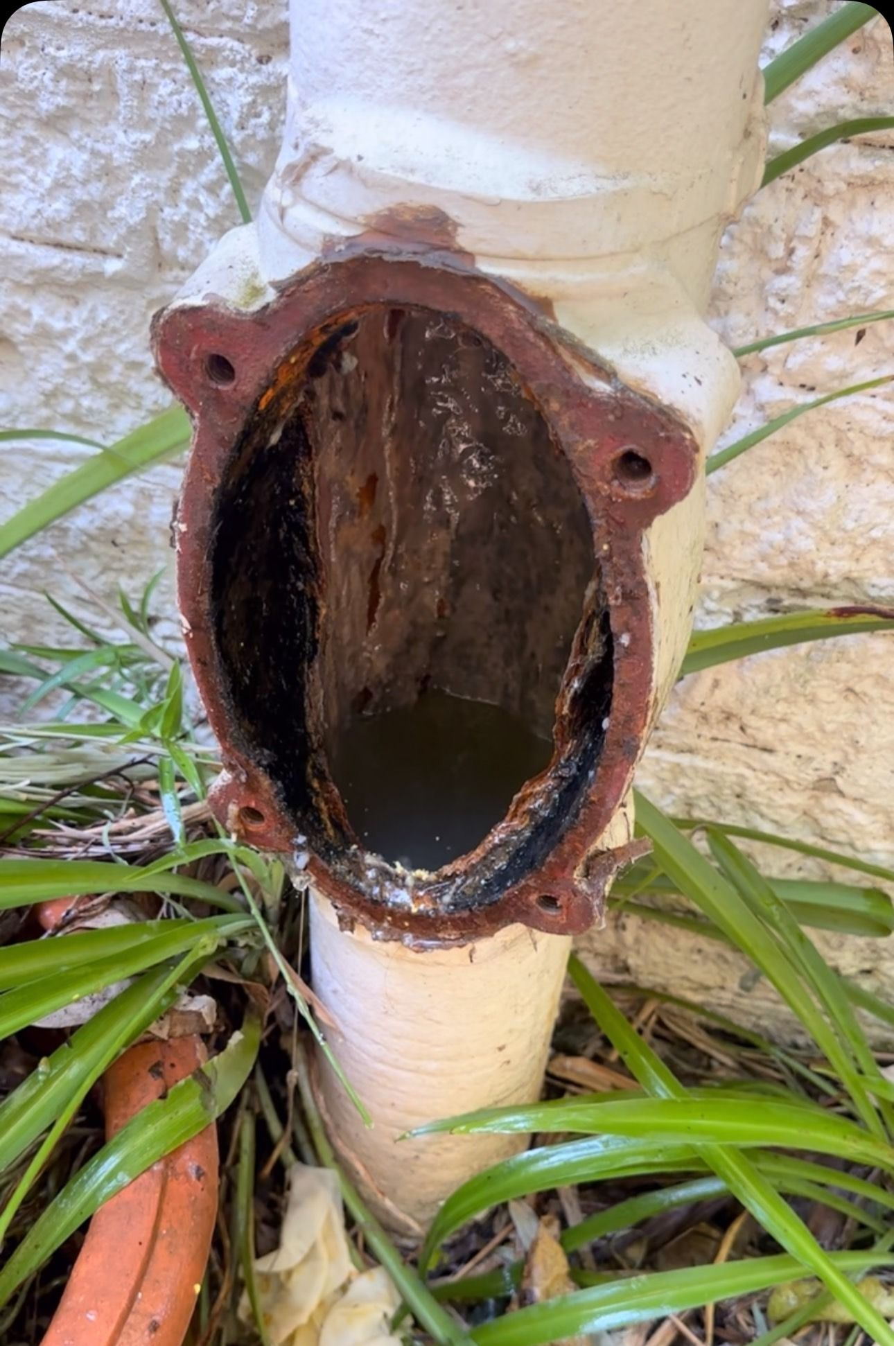 A white, rusted vertical outdoor pipe with an open, bowl-shaped inspection port containing standing water and debris.