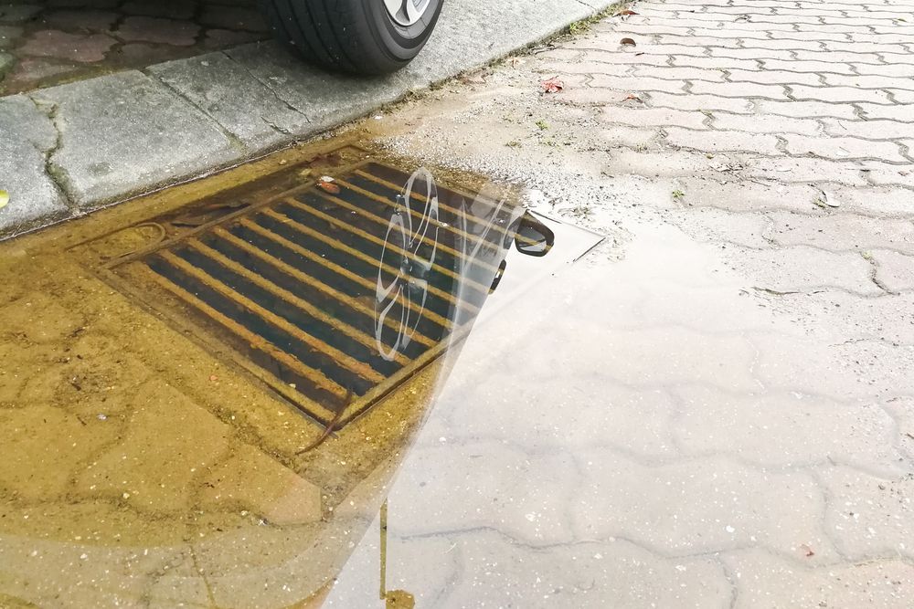 A metal storm drain grate partially submerged in a puddle on a paved street next to a curb and car tire.