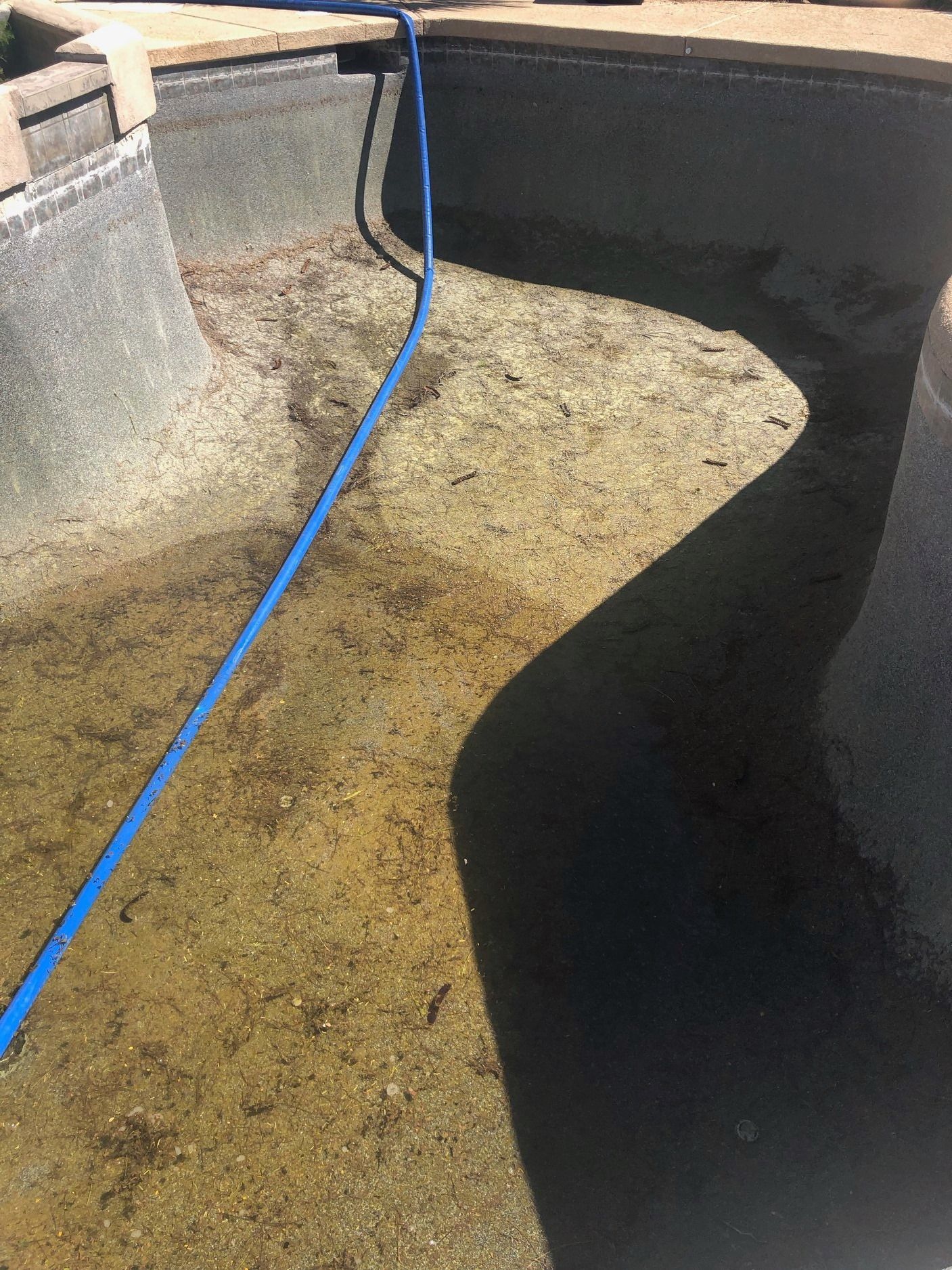 A blue hose is connected to a swimming pool.