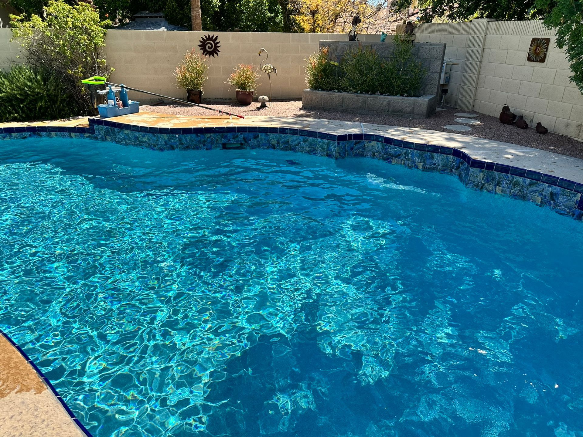 A large swimming pool filled with blue water in a backyard.
