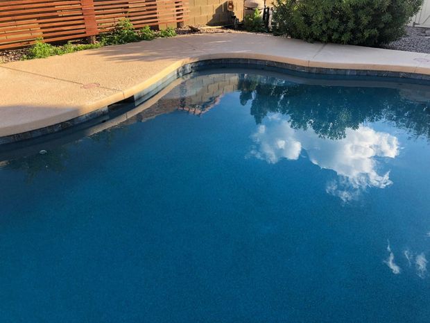 A large swimming pool with a wooden fence in the background and trees reflected in the water.