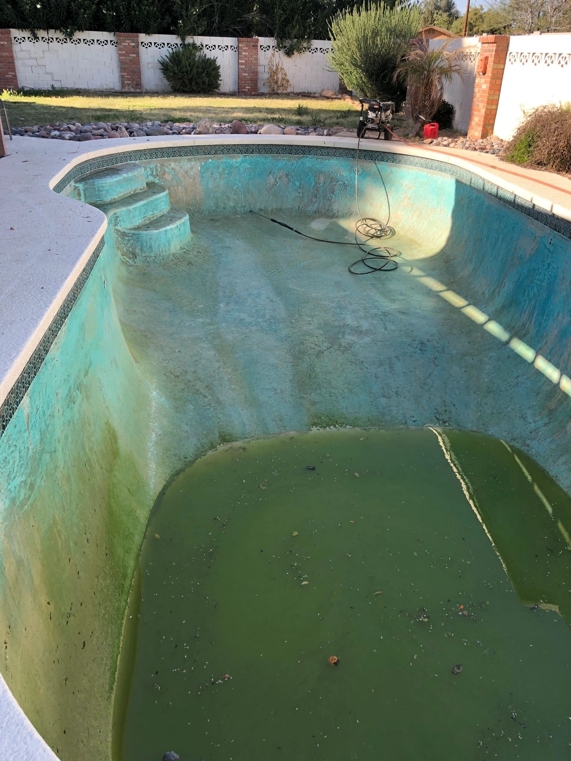 An empty swimming pool with green algae growing on it
