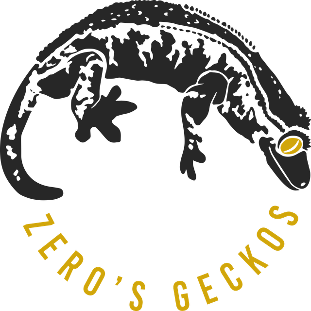 zeros geckos
