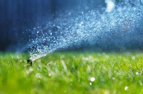 Sprinkler Head Spraying Water — Greer, SC — Smith Irrigation & Landscaping