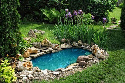 Small Pond — Greer, SC — Smith Irrigation & Landscaping