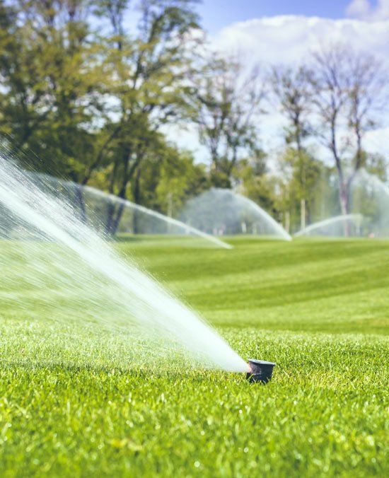 Watering Green Grass — Greer, SC — Smith Irrigation & Landscaping