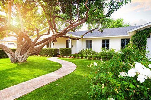 Beautiful House Yard Landscape — Greer, SC — Smith Irrigation & Landscaping
