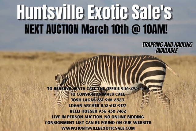 Alernative Animal Auction Sale Dates, Huntsville Livestock