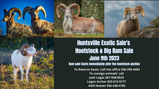 Alernative Animal Auction Sale Dates, Huntsville Livestock