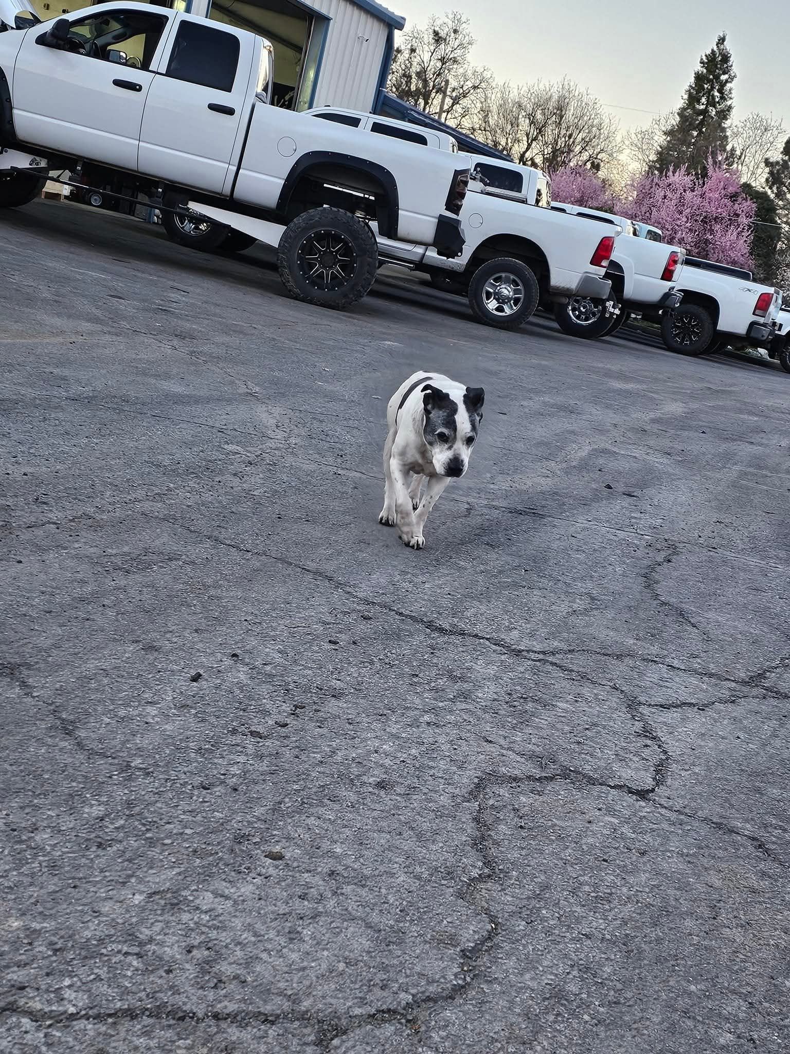 Shop Image | DNA Performance